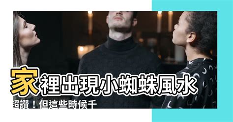 家裡 出現 小 蜘蛛 風水|為何小蜘蛛選擇你家？算命師道出天機